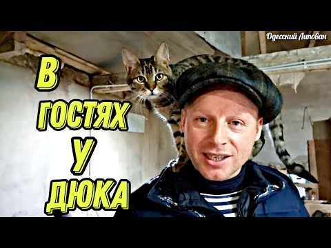 Таких ИСТОРИЙ про животных я в ЖИЗНИ не СЛЫШАЛ Одесса и КОТЫ